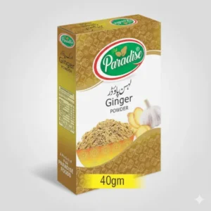 Ginger Powder – Pure & Aromatic Adrak Powder for Cooking & Baking